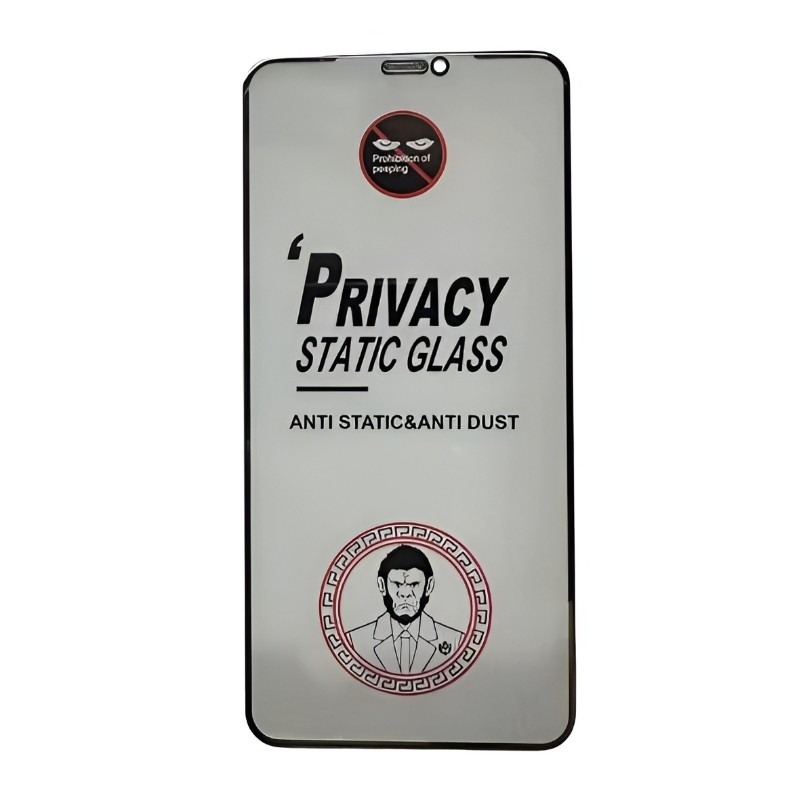 LCD kaitsev karastatud klaas ESD Anti-Static Privacy Apple iPhone 16 Plus