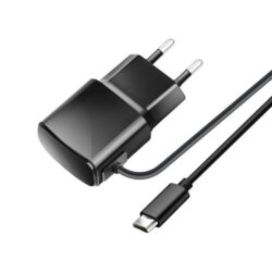 Laadija Blue Star 10W MicroUSB must